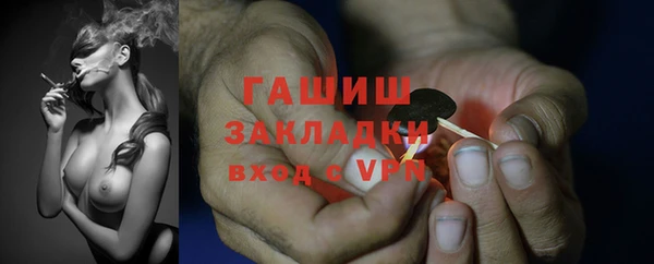ПСИЛОЦИБИНОВЫЕ ГРИБЫ Белокуриха