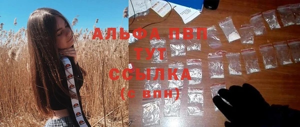 ПСИЛОЦИБИНОВЫЕ ГРИБЫ Белокуриха