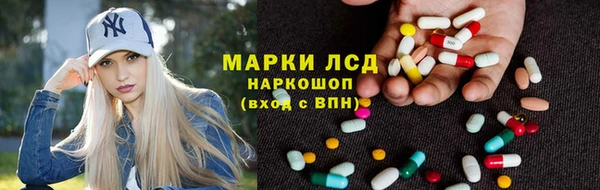 ПСИЛОЦИБИНОВЫЕ ГРИБЫ Белокуриха