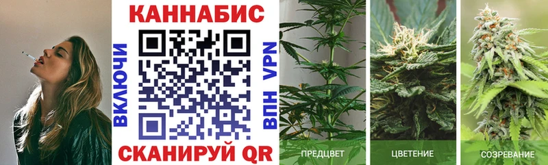 купить   Бородино  Шишки марихуана MAZAR 